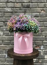 Цветочная композиция из Гипсофила и Розы в шляпной коробке в Новоорловске