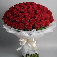 Букет 101 Красная роза Блэк Мэджик в Новоорловске