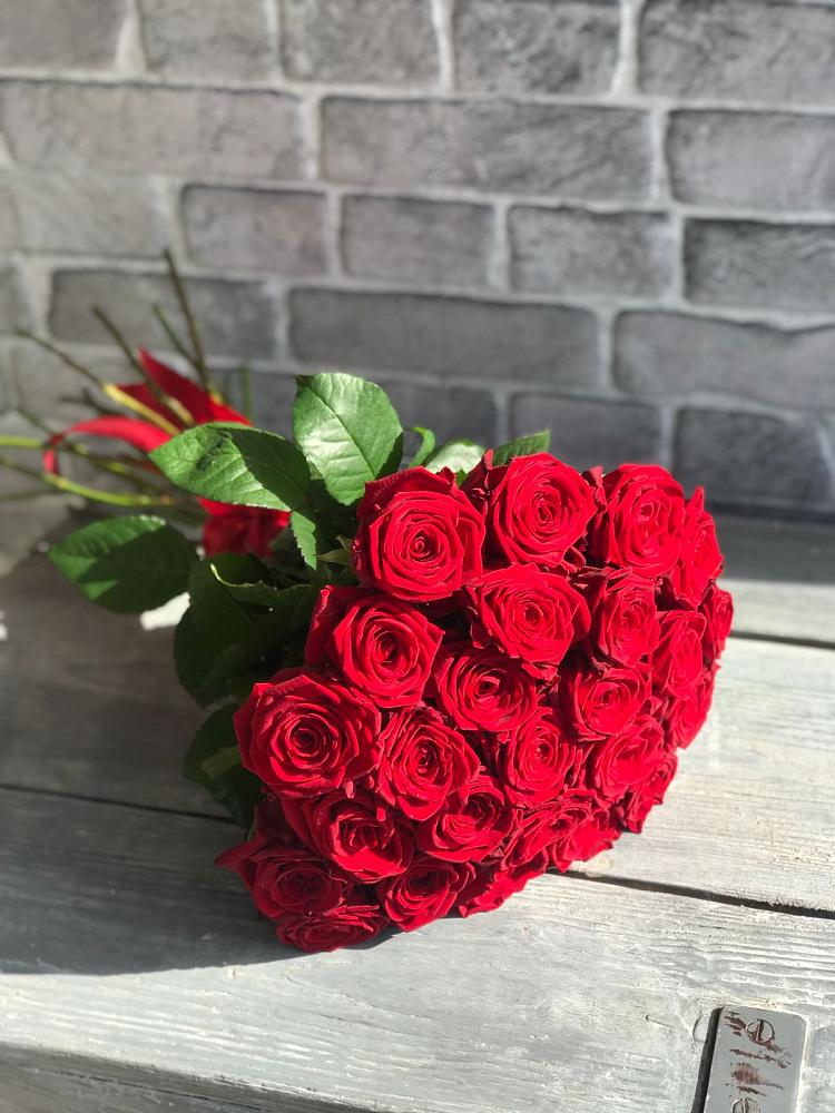 Букет Красные розы Фридом в Новоорловске