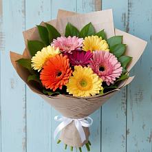 Букет цветов из:  Герберы #REPLACE_PRED# Новоорловске