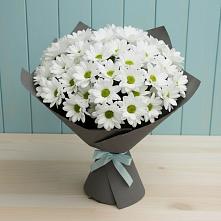 Букет цветов из:  Хризантемы в Новоорловске