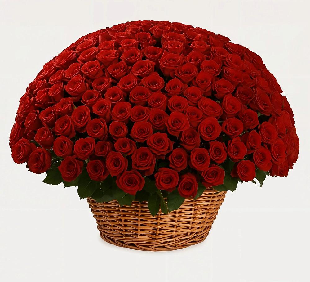 Премиум букет из: Розы в Новоорловске