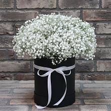 Цветочная композиция из Гипсофила в шляпной коробке в Новоорловске