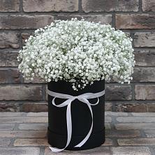 Цветочная композиция из Гипсофила в шляпной коробке в Новоорловске