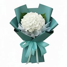 Букет цветов из:  Гортензия в Новоорловске